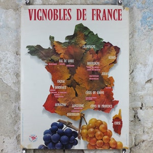 1974 Vineyards of France Poster, Types of French wines, Vins de France, advertising and marketing, Viticulture print wall art decor