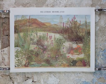 1977 British Museum Poster, Heather Moorland by Barbara Nicholson BEM, Shrubland, Natural History Museum, wall art decor