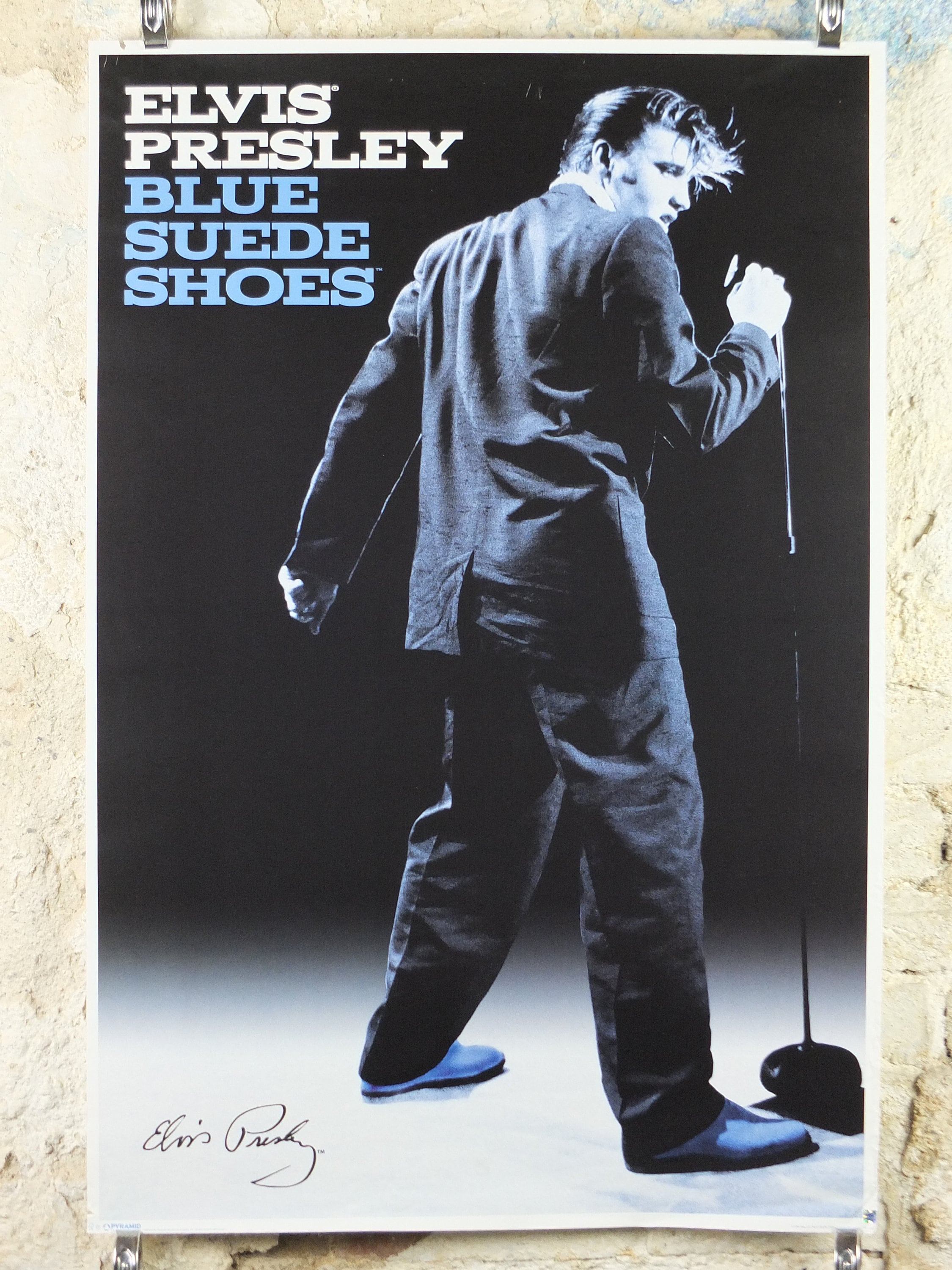Blue Suede Shoes Poster Elvis Presley Photo From Alfred