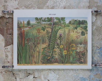 1977 British Museum Poster, Swamp by Barbara Nicholson BEM, bog, Natural History Museum, wall art decor