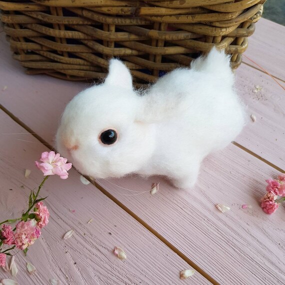 BunBun