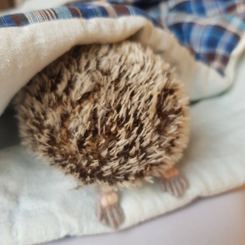 Needle felted hedgehog toy hedgehog baby toy small hedgehog Etsy