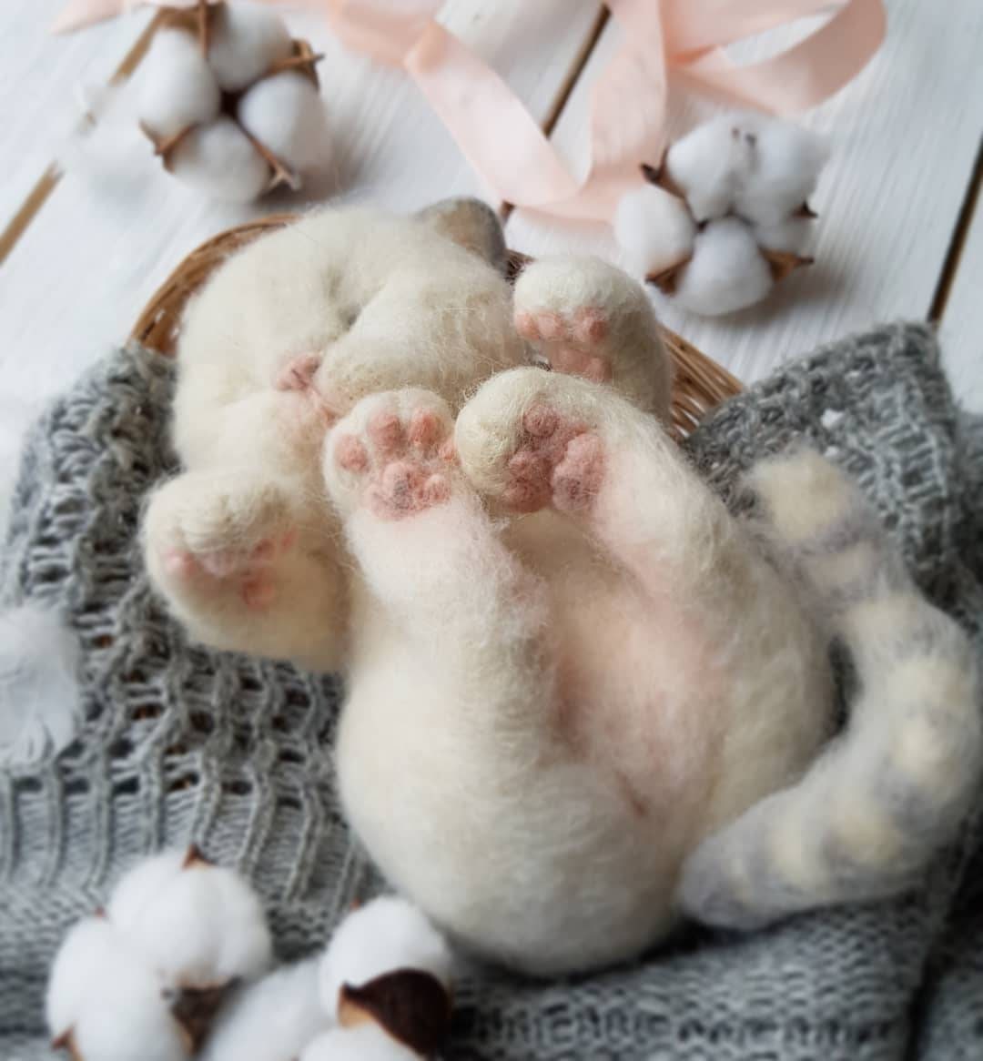 sleeping kitten toy