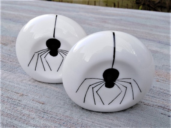 Salt and pepper cruet set with a spider
