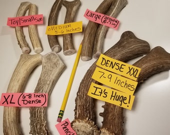 Pick Your Size Organic Naturally Shed Mule DEER Antler Dog Chew Toy & Treat Small Medium Large XL XXL Jumbo Custom Antlers diy Knife handle