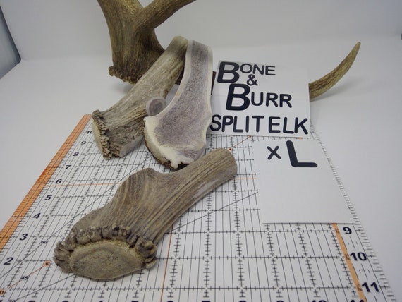 Elk Antler/horn dog chews/treat/1 Lb Deer/Elk Naturally shed Small-XL art/craft