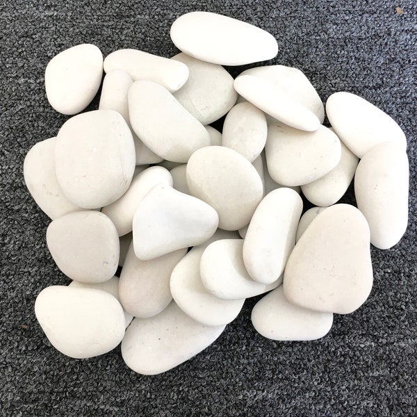 White Flat Beach Rocks for Painting, 3-4"