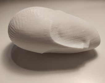 Réplique de Constantin Brancusi, la muse endormie imprimée en 3D