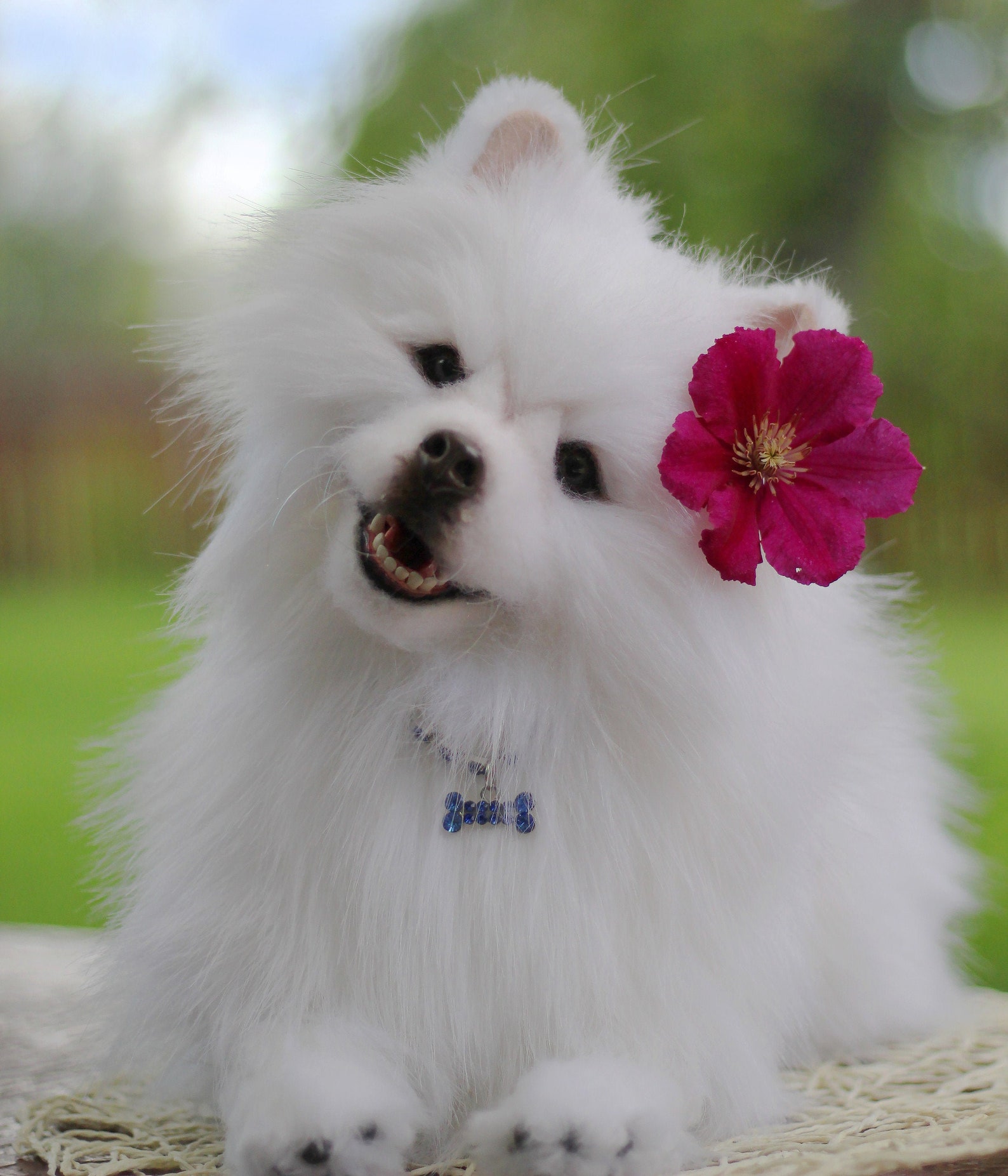 Spitz dog/Plush toy pomeranian white spitz /Realistic puppy Etsy