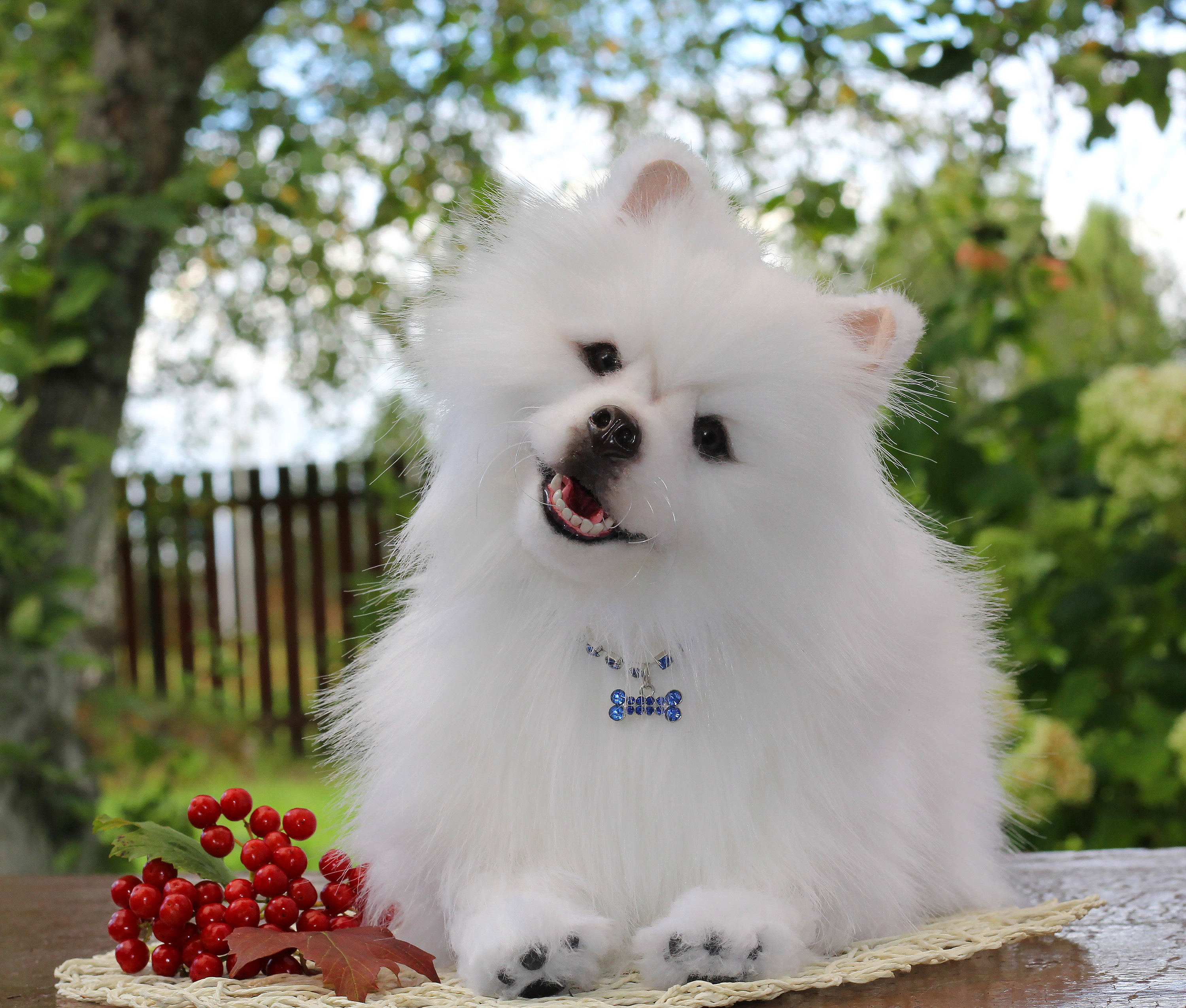 Spitz dog/Plush toy pomeranian white spitz /Realistic puppy Etsy