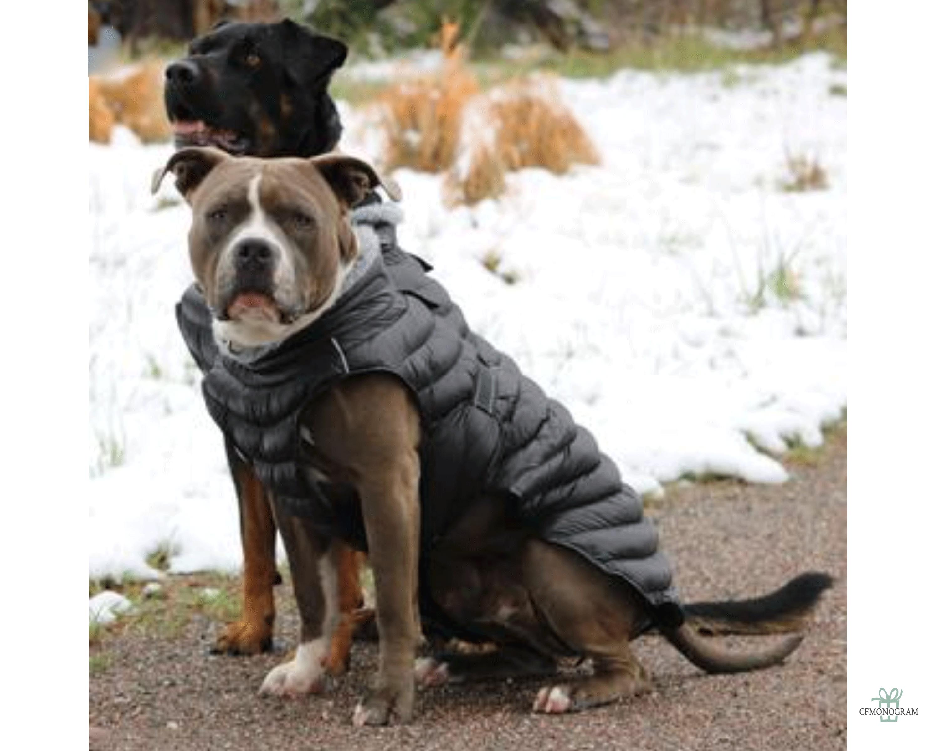 Dog Down Jacket New Zealand