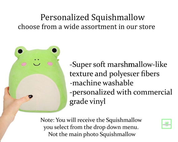 Personalized Squishmallow Honeydew Cameleon 8 Inch, Custom Squishmallow,  Birthday Gift, Personalized Stuffed Animal, Custom Plush 