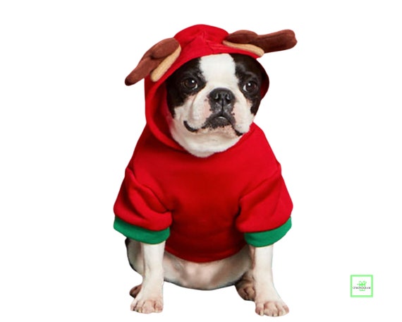 exo terra intense basking spot 100w