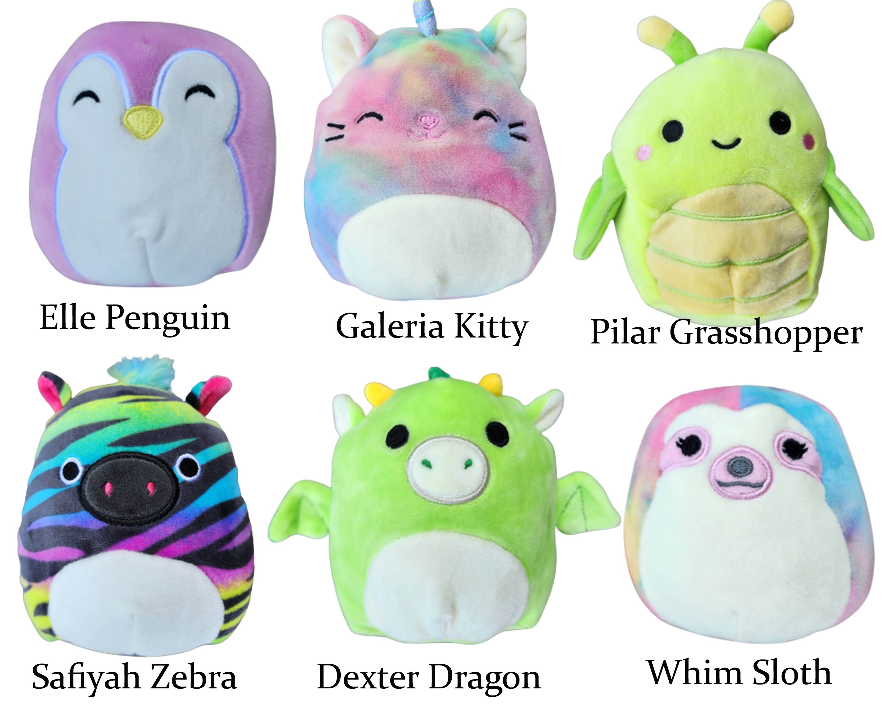 Personalized Squishmallow Dexter Dragon 5, Daksa Mallard Duck