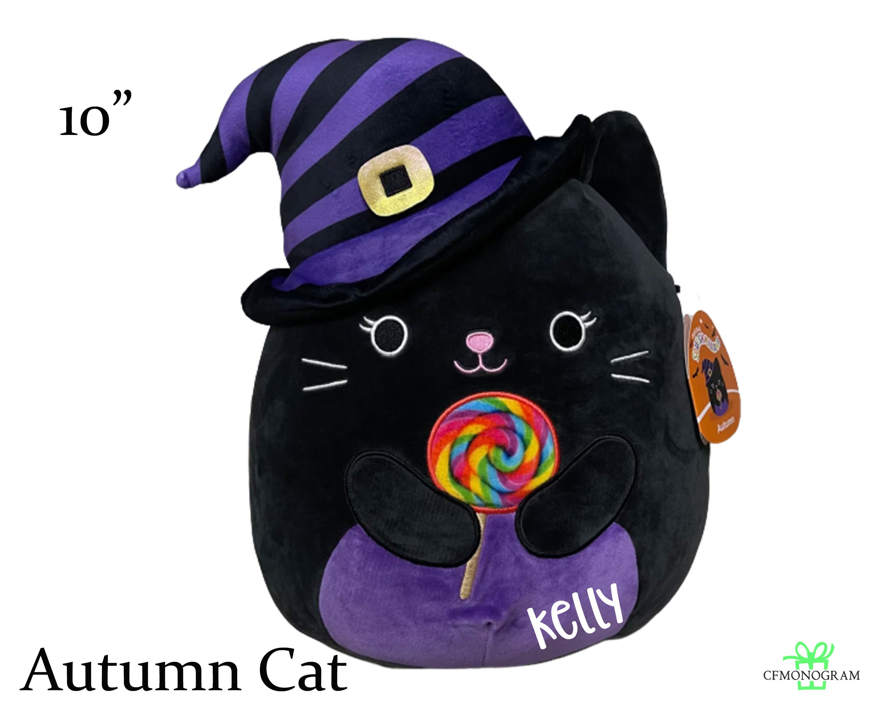 autumn black cat squishmallow