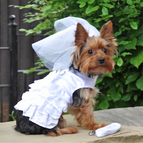 Dog Harness Wedding Dress with Veil and Matching Leash