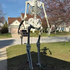 以下が含まれることがあります： 屋外用の大きなハロウィーンのスケルトン装飾。スケルトンは白とグレーで、長い手足と詳細な肋骨があります。家の前の芝生に立っています。スケルトンの高さは約3.6メートルです。