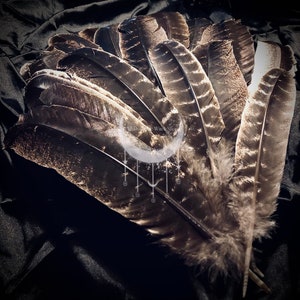 9”-12” Smudging Feather