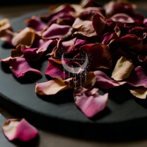 Dried Rose Petals Herb Tube