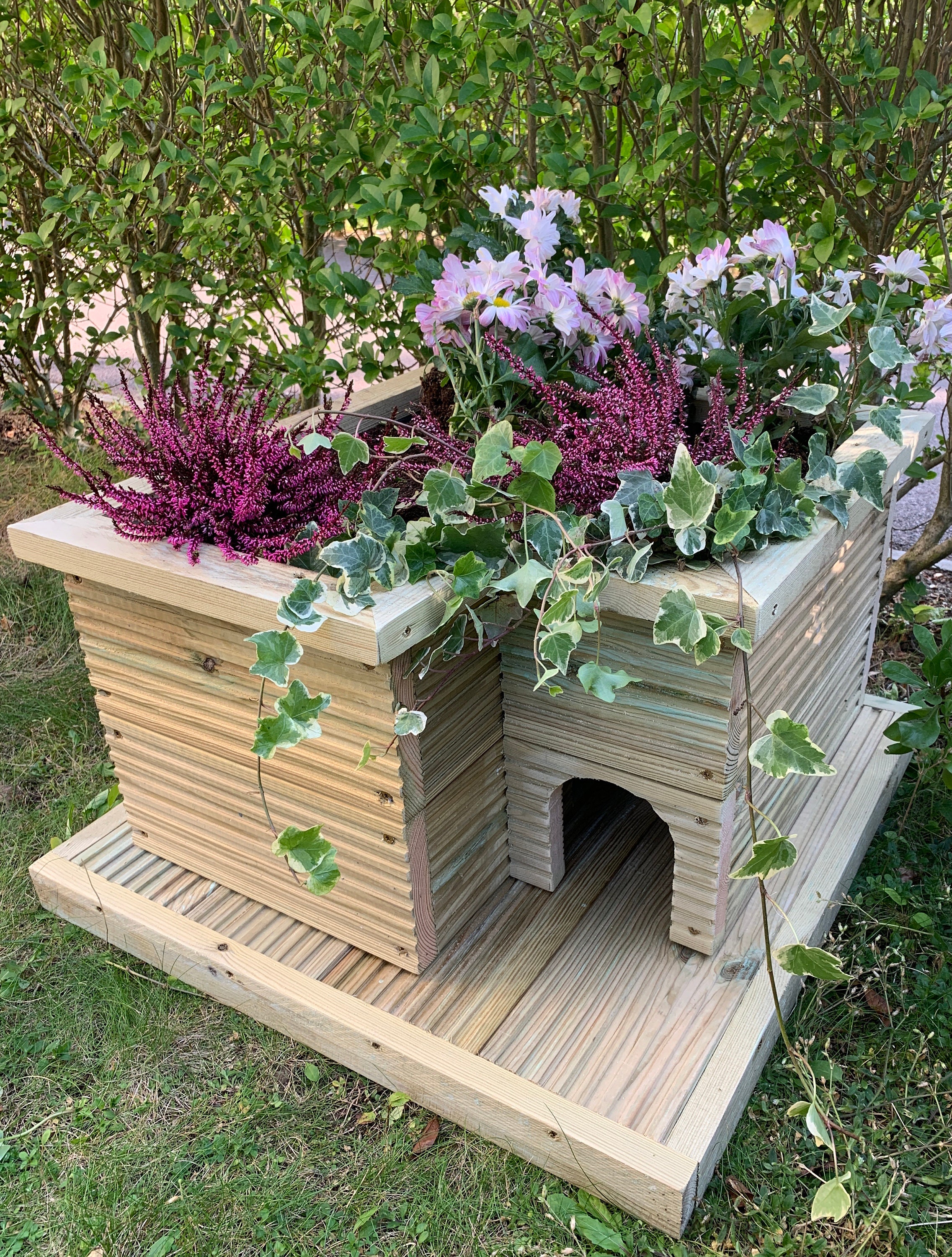 hedgehog hutch