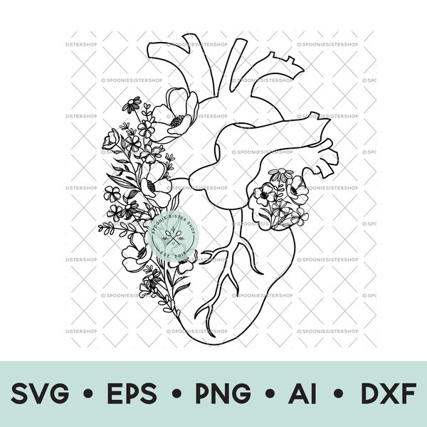 Floral Heart Anatomy SVG, Heart Anatomy Clip Art, Anatomical Heart PNG, Cardiac Anatomy SVG, Heart Clipart, Cardiology Svg, Digital Download