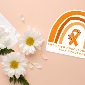 Rainbow AMPS Sticker, Amplified Musculoskeletal Pain Syndrome, AMPS Awareness Stickers, AMPS Decal, Orange Awareness Ribbon, Chronic Pain image 3