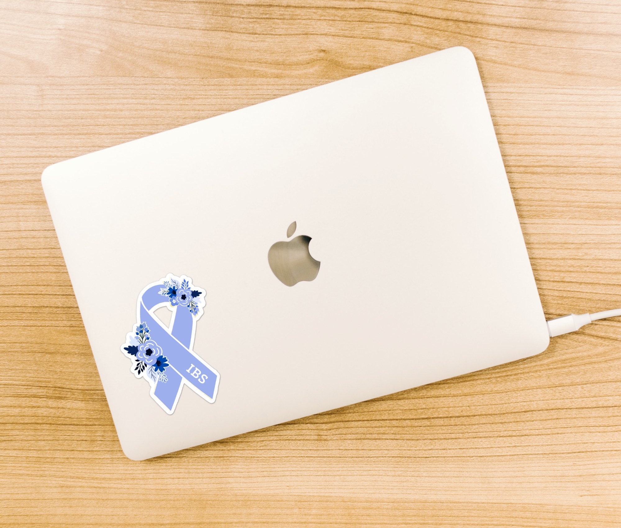 IBS Awareness Sticker, Irritable Bowel Syndrome Stickers