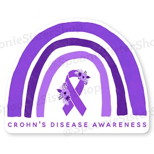 Rainbow Crohn&#39;s Disease Sticker, Crohn&#39;s Awareness Decal, Crohns Disease Support Stickers, Purple Awareness Ribbon Decal, Chronic Illness