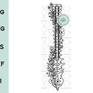 Spinal Fusion Anatomy SVG, Floral Spinal Fusion Clip Art, Spinal Fusion Surgery PNG, Scoliosis Surgery Clipart, Vector Art, Digital Download