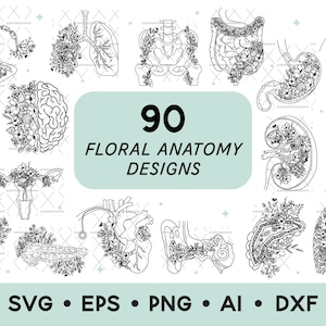 Floral Anatomy SVG Bundle, Anatomy Clip Art Bundle, Human Organs PNG, Anatomy Art, Anatomical SVG, Medical Devices Clipart, Digital Download