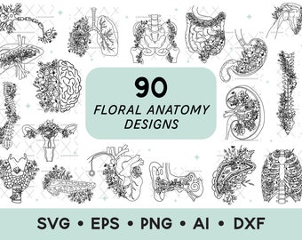 Floral Anatomy SVG Bundle, Anatomy Clip Art Bundle, Human Organs PNG, Anatomy Art, Anatomical SVG, Medical Devices Clipart, Digital Download