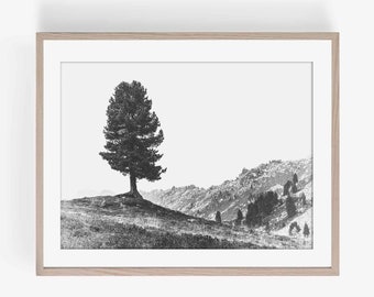 Lone Tree Wall Art, Natural Photograph, Digital download, Landscape Photograph, Tree Landscape Wall Art, Black and White Wall Art, Printable