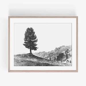 Lone Tree Wall Art, Natural Photograph, Digital download, Landscape Photograph, Tree Landscape Wall Art, Black and White Wall Art, Printable
