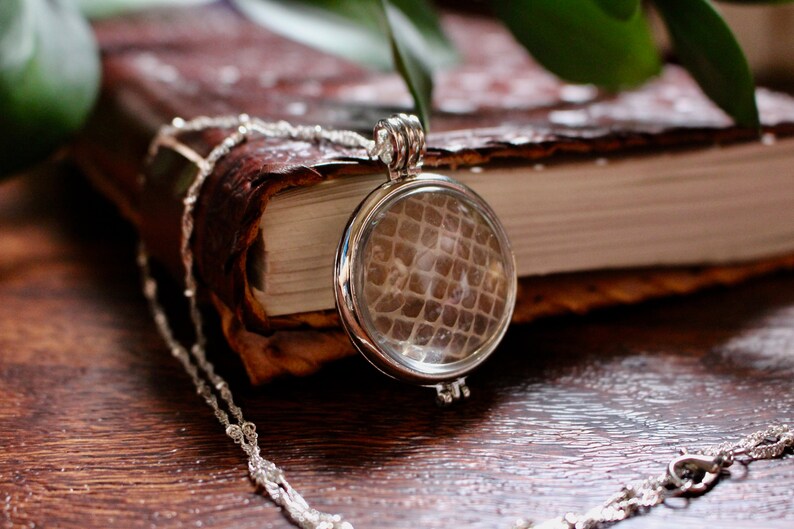 Magnified Snake Shed Skin Necklace Woodland Necklace Pagan 