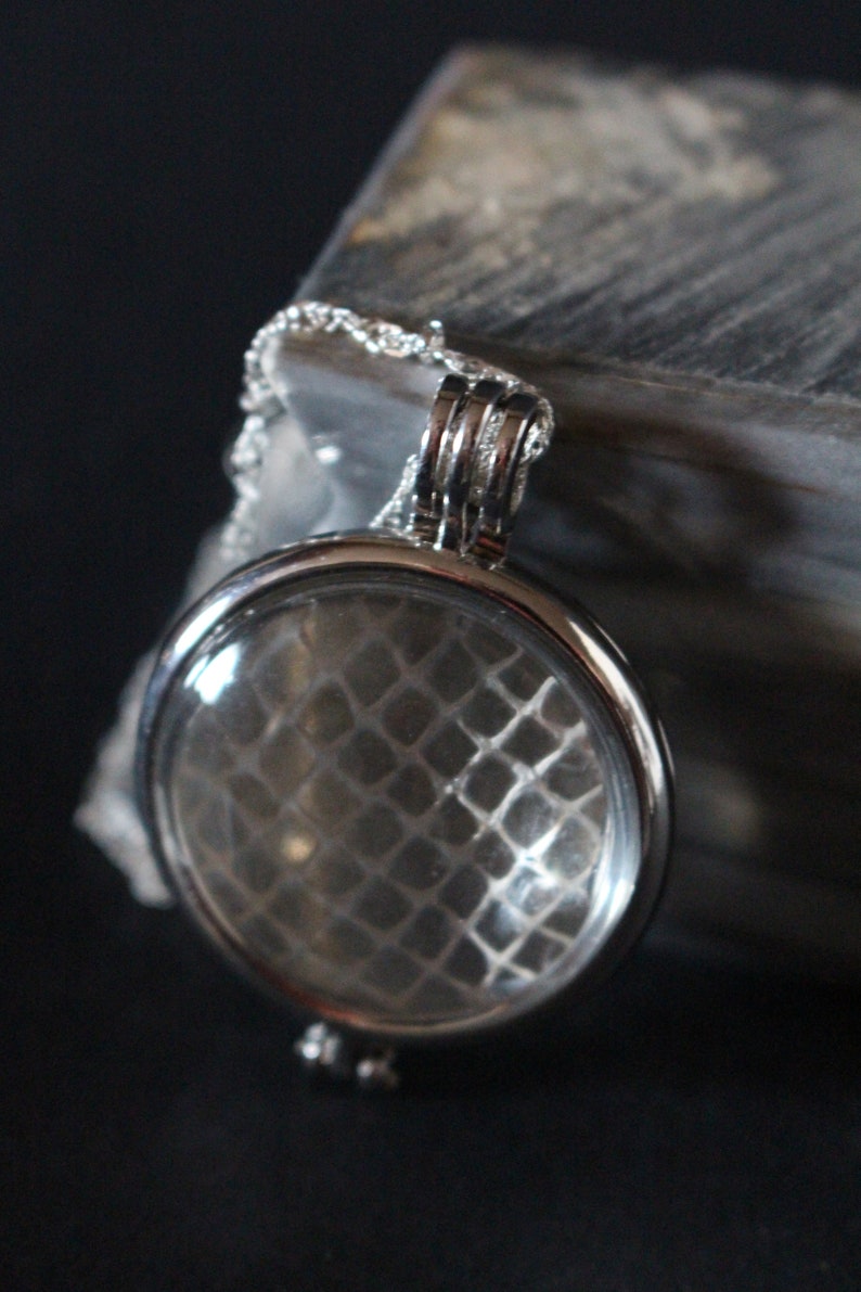 magnified snake shed skin necklace woodland necklace pagan