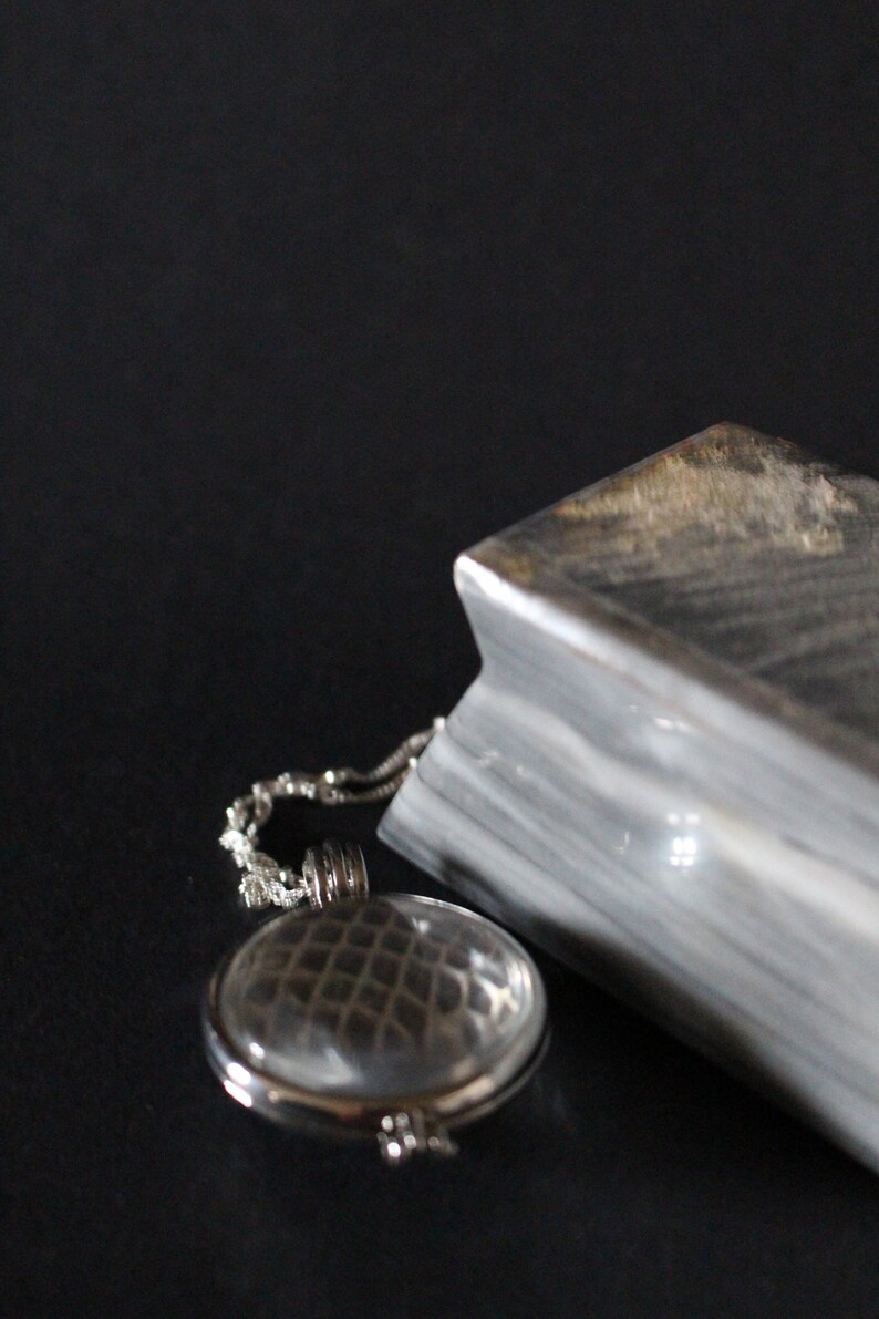 Magnified Snake Shed Skin Necklace Woodland Necklace Pagan 