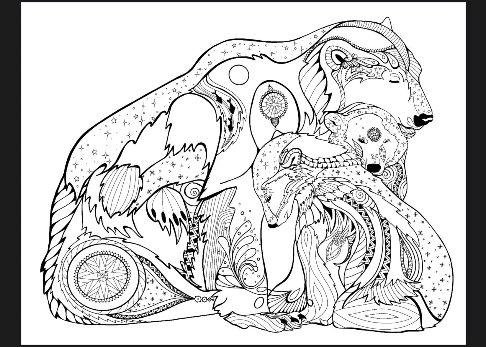Bog Collection Colouring Pages - Etsy Australia