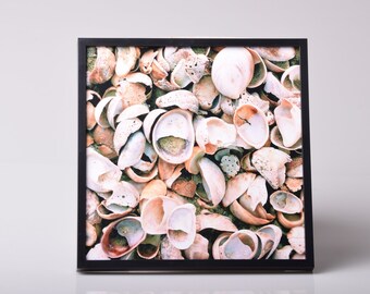 framed~ ready to hang~ original ~photography