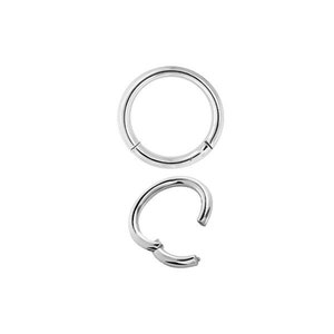 20g Titanium ASTM F136 Medical Grade Nose Ring Helix/Rook/Daith Cartilage Hinged Segment Clicker, Comes in 5,6,7 or 8mm