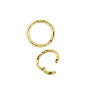 20G Titanium Gold Daith Bijoux, Anneau de nez, Helix / Rook / Anneau articulé de cartilage .. PVD or 18 carats sur titane ASTM-F136 - Livré en 5,6,7,8 ou 9mm