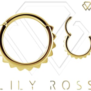 16g Gold Daith Piercing Ear-Cartilage Helix Snug Clicker-Septum Ring..Gold PVD Over 316L Surgical Steel 16g - 8mm or 10mm