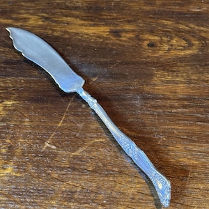 May include: A silver-toned butter knife featuring a wide, curved blade with a scalloped edge and a slender handle decorated with an intricate, embossed floral pattern that extends along the length of the metal stem to the rounded end.