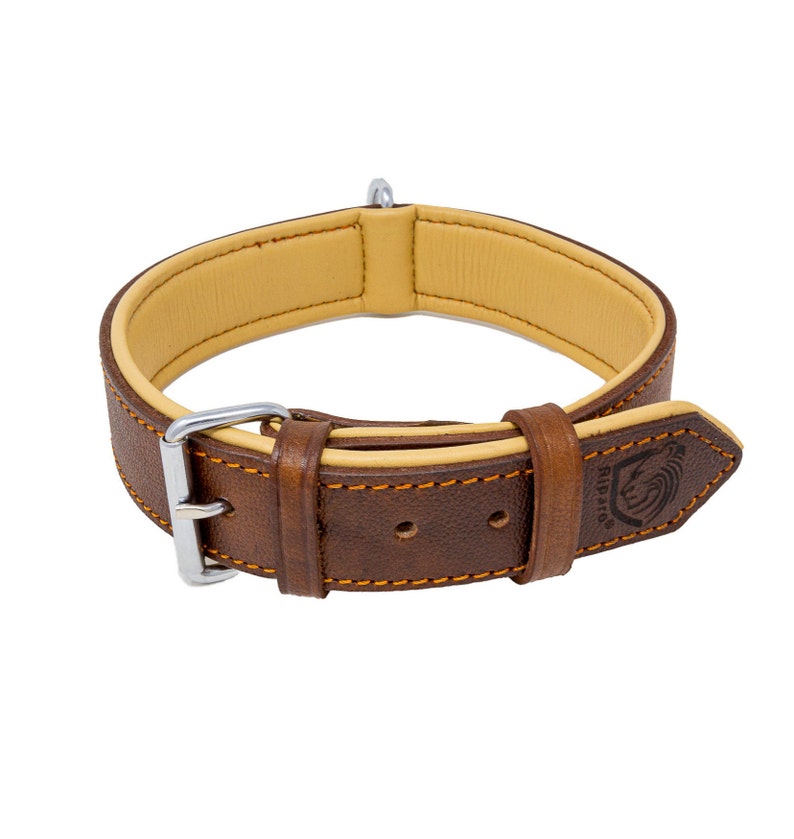 Genuine Leather Padded Dog Heavy Duty K-9 Adjustable Collar 