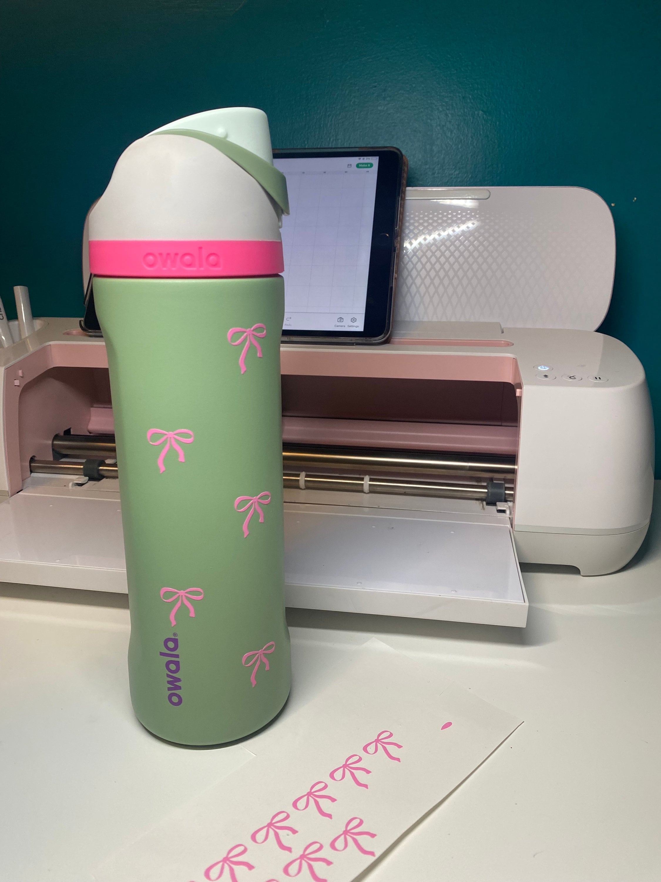 Owala Water Bottle With Bows Etsy