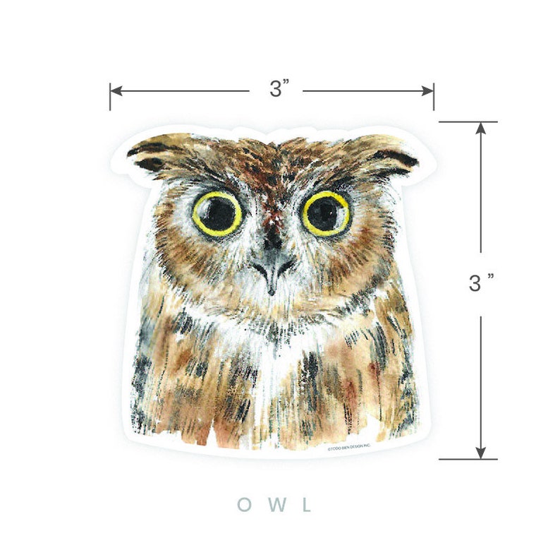 May include: A watercolor illustration of an owl with large, round, yellow eyes. The owl is brown and white with a detailed pattern of feathers. The image is 3 inches by 3 inches.