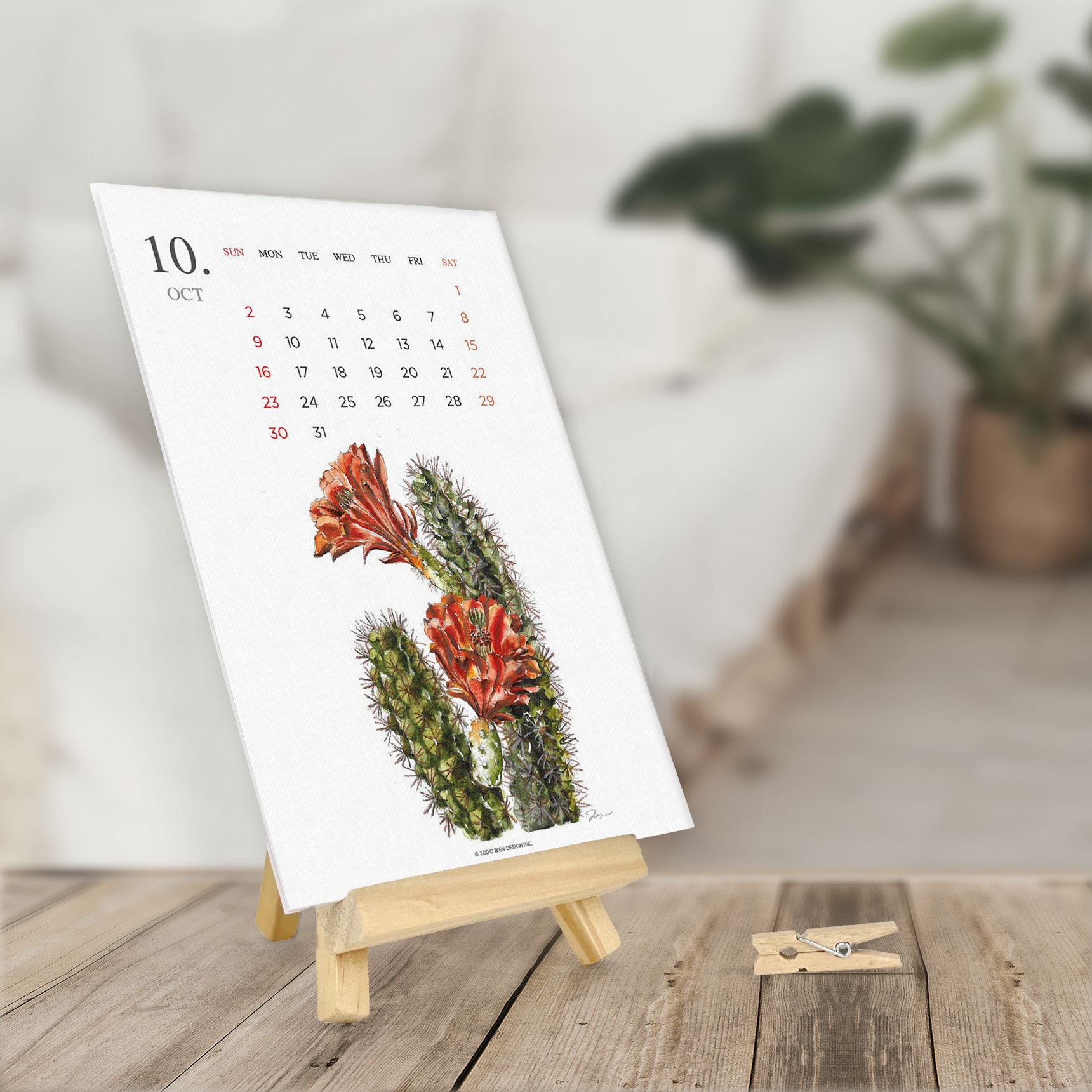 2022 Monthly Plants Cactus Desk Calendar 5x7 Watercolor Etsy