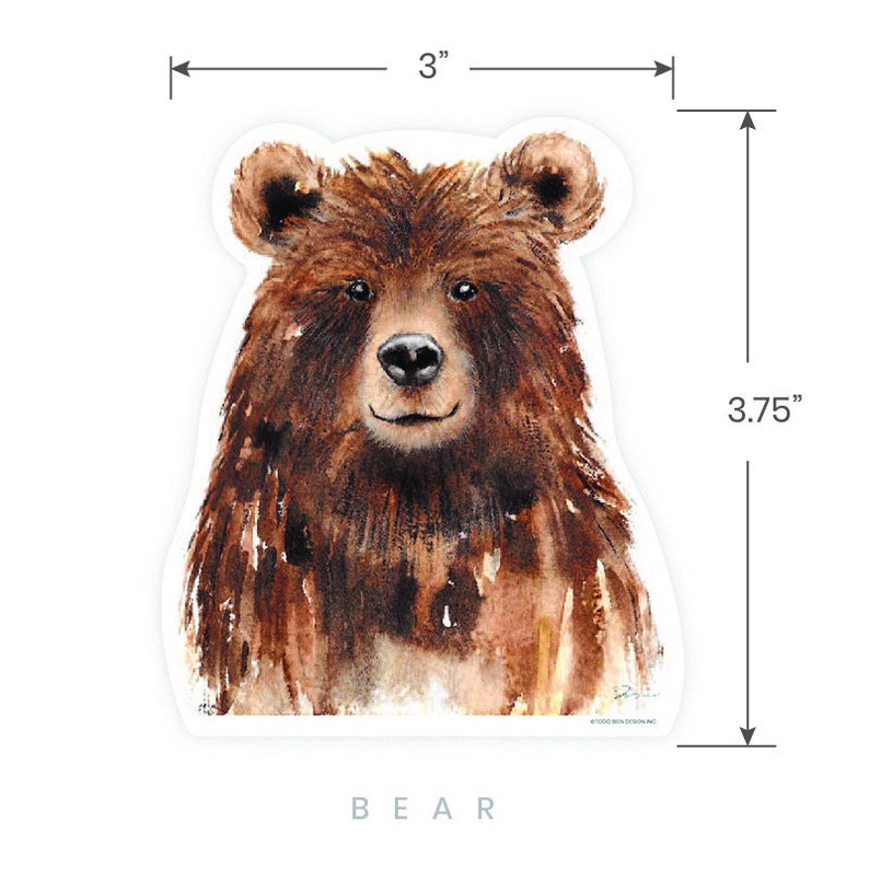 May include: A watercolor illustration of a brown bear's face. The bear has a friendly expression and is looking directly at the viewer. The image is 3 inches wide and 3.75 inches tall.