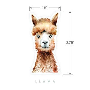 May include: A watercolor illustration of a brown llama with a white face. The llama is looking directly at the viewer. The image is 3.75 inches tall and 1.5 inches wide. The word "LLAMA" is printed below the image.