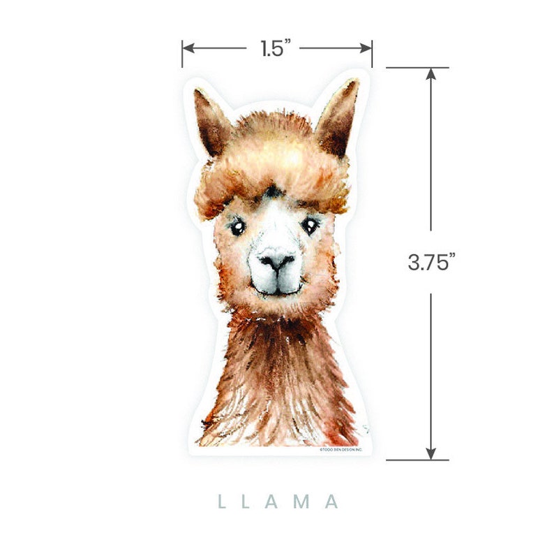 May include: A watercolor illustration of a brown llama with a white face. The llama is looking directly at the viewer. The image is 3.75 inches tall and 1.5 inches wide. The word "LLAMA" is printed below the image.