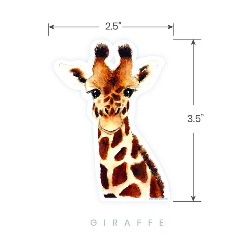 May include: A watercolor illustration of a giraffe's head and neck. The giraffe is brown and white with a spotted pattern. The giraffe is looking directly at the viewer. The image is 3.5 inches tall and 2.5 inches wide.